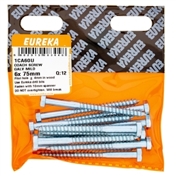 1CA60 - Coach Screw